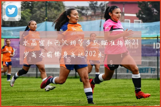 水晶宫和西汉姆等多队瞄准梅斯21岁高大前锋身高达202米