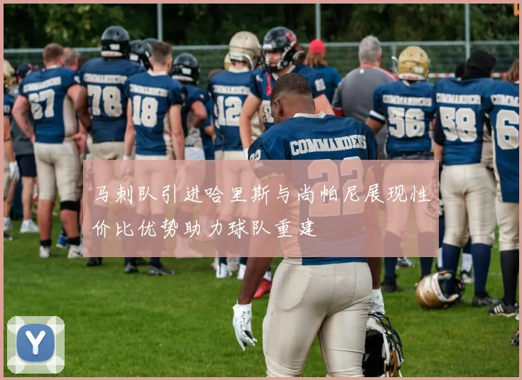 马刺队引进哈里斯与尚帕尼展现性价比优势助力球队重建