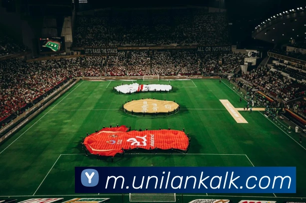 milan米兰官网APP 封面图